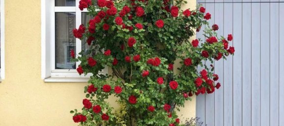 8 rooms Farm in Dahme-Spreewald, Germany No. 100378 4