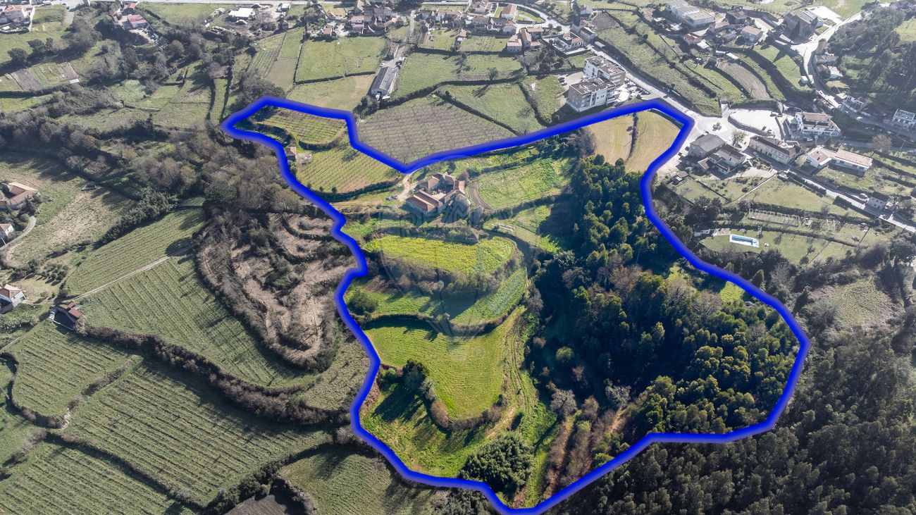 4 bedrooms House in Penafiel, Portugal No. 158320