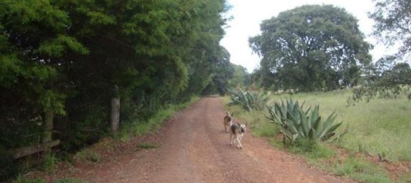 3 bedrooms House in Amealco de Bonfil, Mexico No. 149099 2