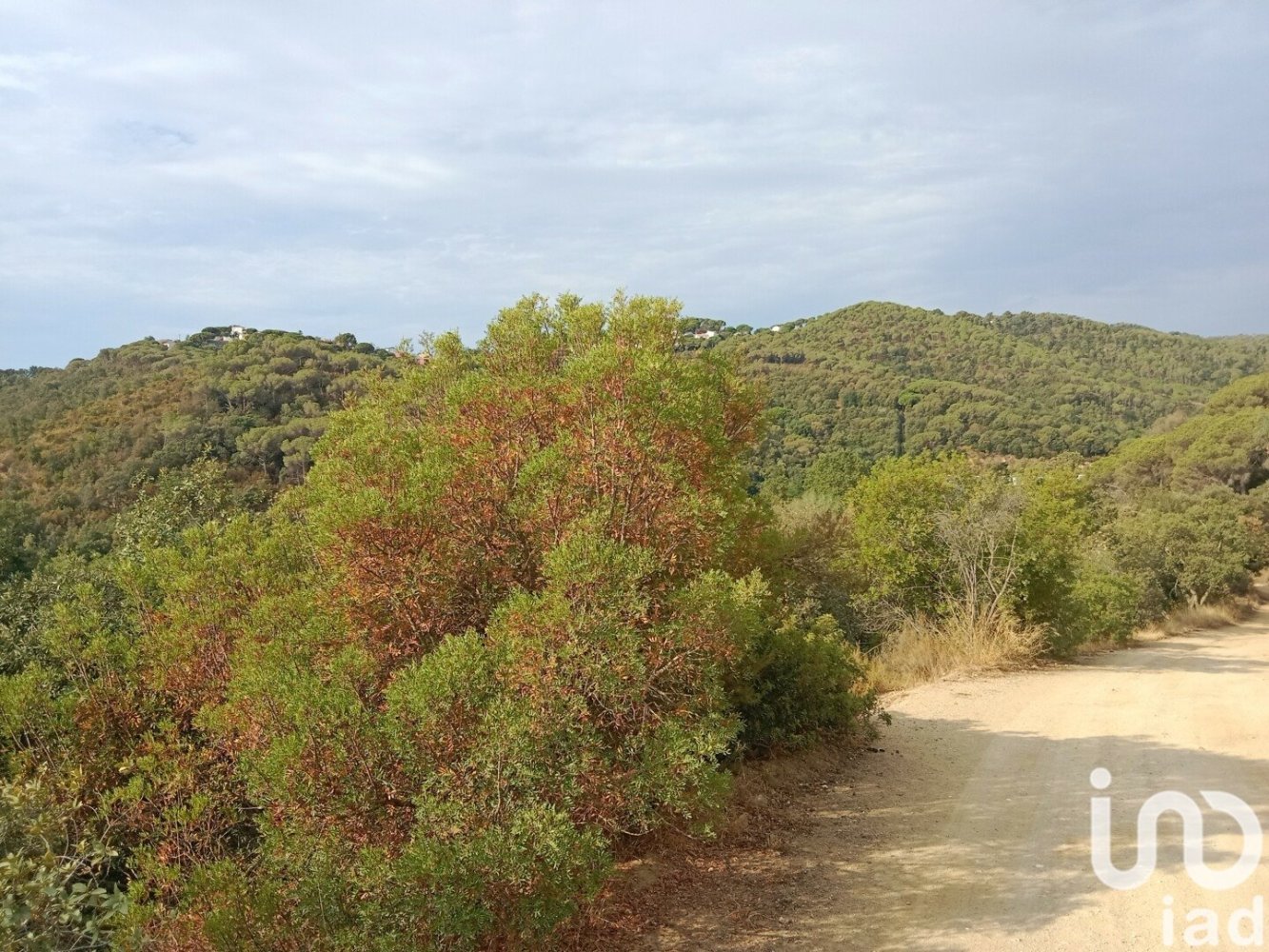 Grundstück in Sant Cebria De Vallalta, Spain 11000m², Nr. 293843