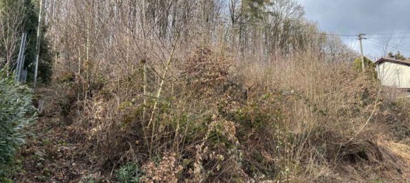  Land in Altenkirchen, Germany No. 134414 2