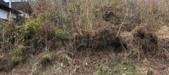  Land in Altenkirchen, Germany No. 134414 3