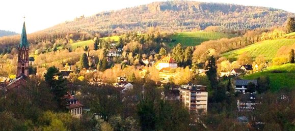 2 bedrooms Apartment in Baden-Baden, Germany No. 54317 17