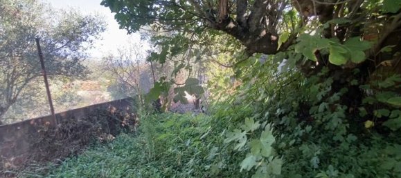 Casa T3 em Torres Novas, Portugal N.º 21314 26