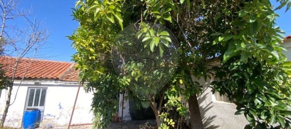 Casa T3 em Torres Novas, Portugal N.º 21314 20