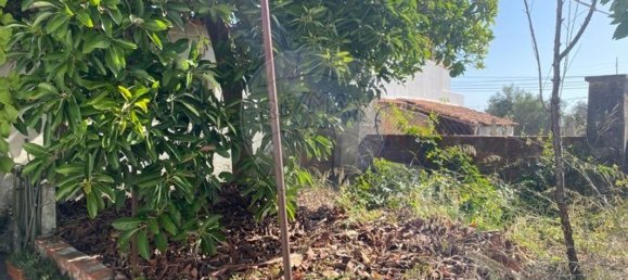 Casa T3 em Torres Novas, Portugal N.º 21314 19