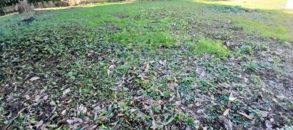 15 rooms Villa in Lucca, Italy No. 78368 22