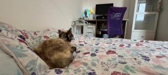 3 rooms Townhouse in Leoben, Austria No. 190280 2