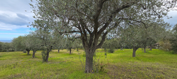 Terrain à Sorso, Italy 9449m² No. 251630 2
