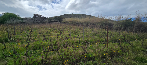 Terrain à Sorso, Italy 9449m² No. 251630 6