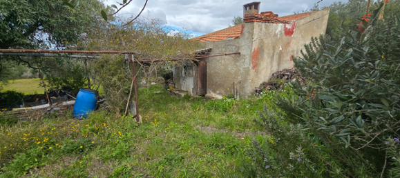 Terrain à Sorso, Italy 9449m² No. 251630 3