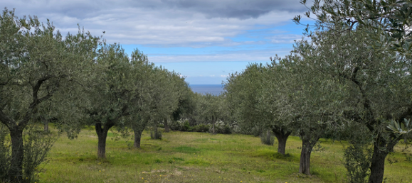 Terrain à Sorso, Italy 9449m² No. 251630 4