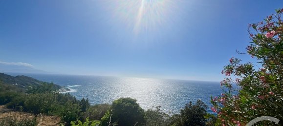 3 bedrooms Apartment in Canari, France No. 264776 4