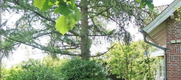 Casa de 5 habitaciónes en Stade, Germany No. 306054 25