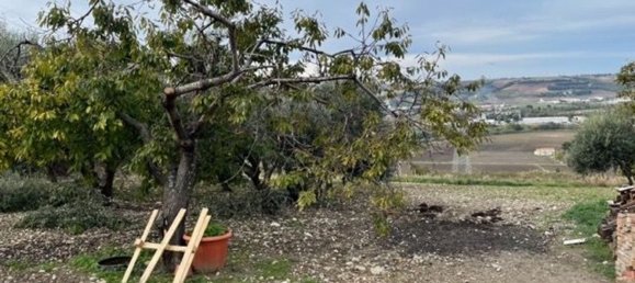 5-Zimmer Haus in Campomarino, Italy, Nr. 154073 15