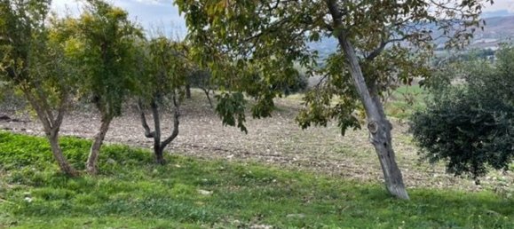 5-Zimmer Haus in Campomarino, Italy, Nr. 154073 14