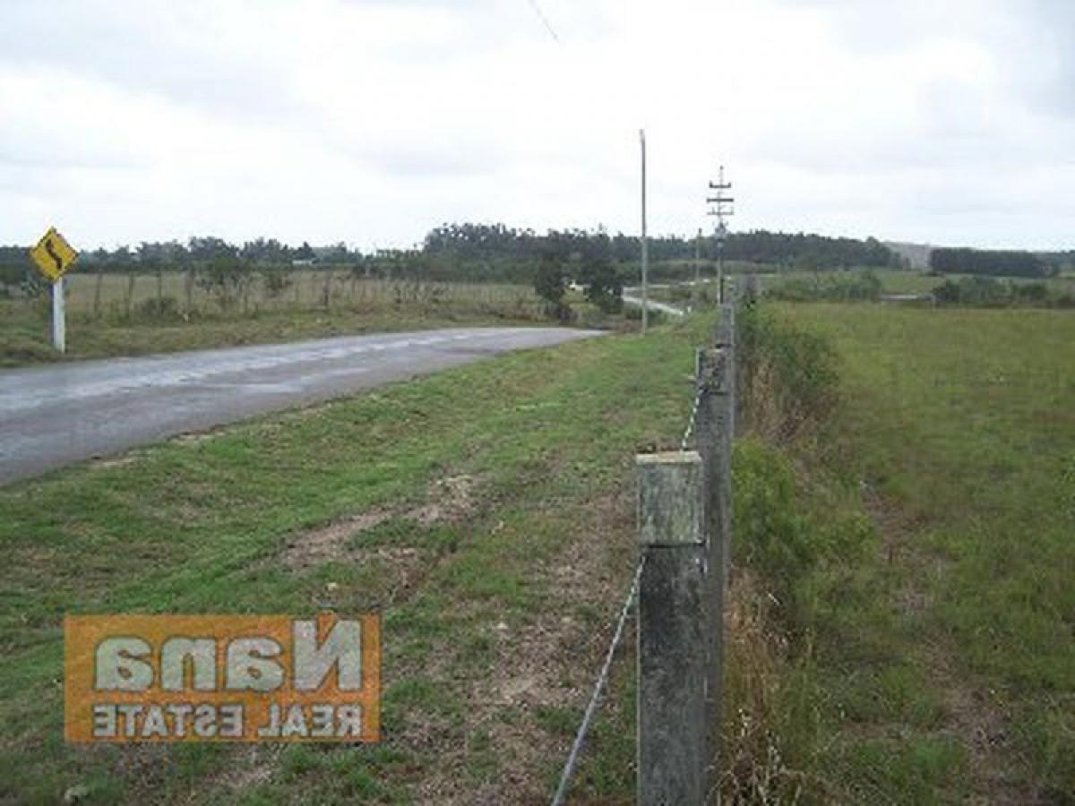 Ferme à Maldonado, Uruguay No. 15677