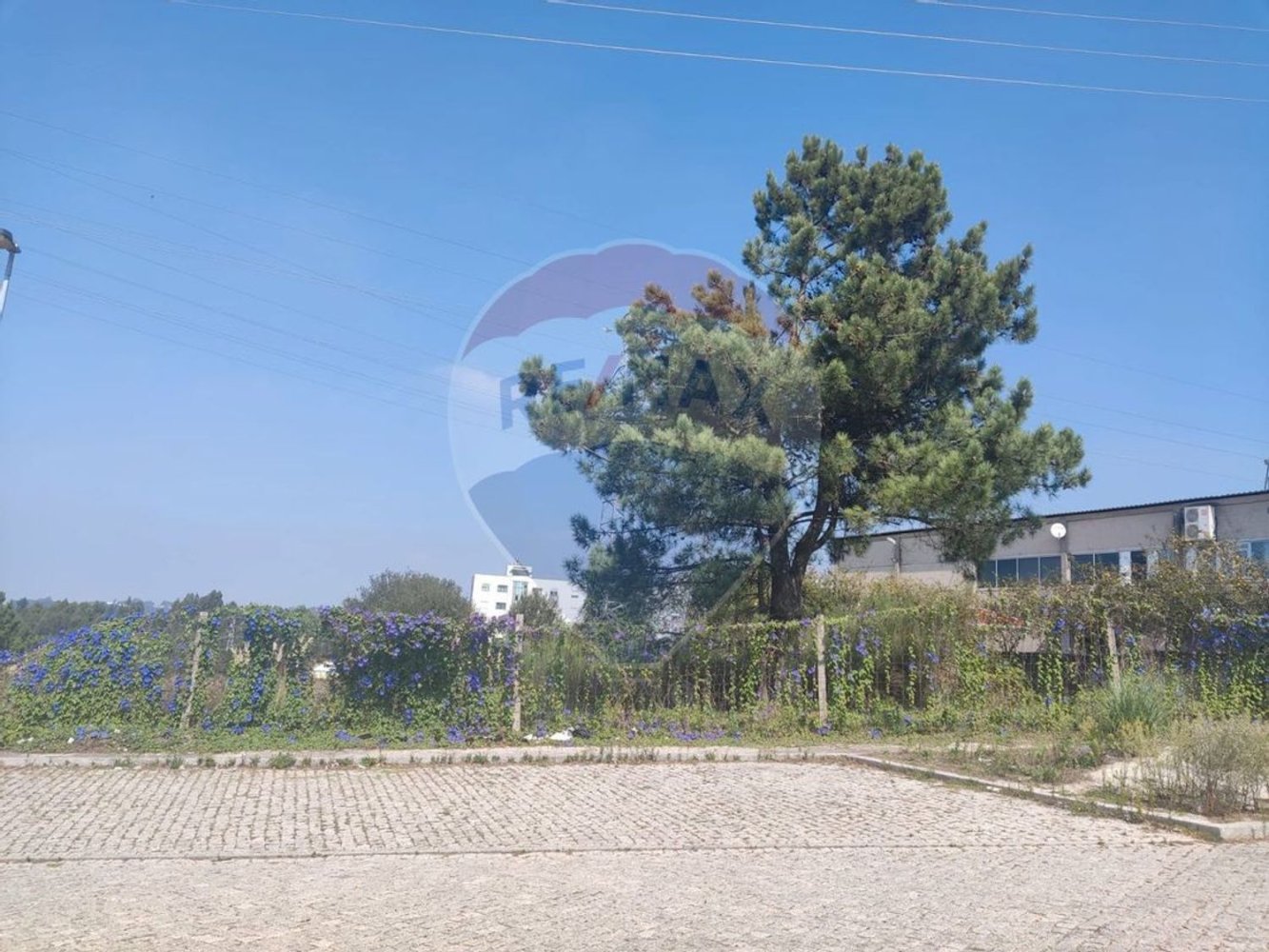 1725m² Land in Fanzeres, Portugal No. 32066
