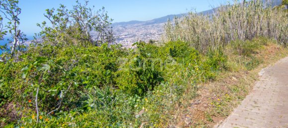 Land in Funchal, Portugal No. 89998 4