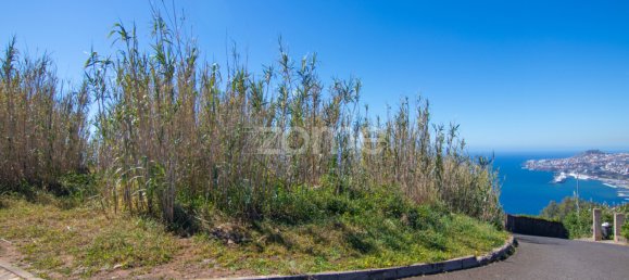 Land in Funchal, Portugal No. 89998 5