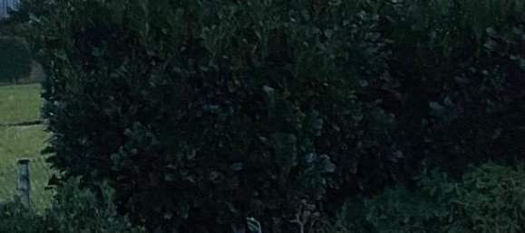 5-Zimmer Stadthaus in Starnberg, Germany, Nr. 193976 22