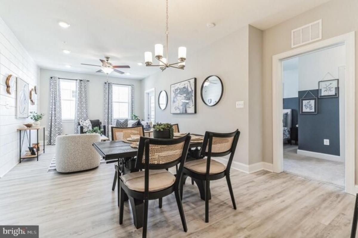 2 bedrooms House in Havre de Grace, USA No. 373669