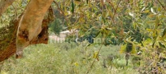 3 غرف نوم منزل في Calci, Italy رقم 349653 8