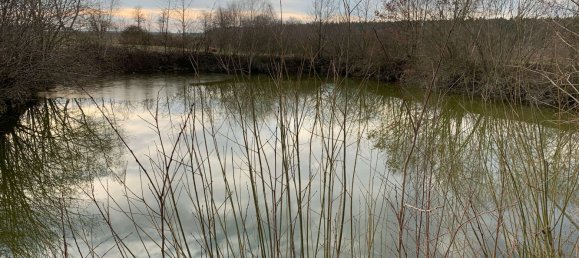 7 rooms House in Helmstedt, Germany No. 207876 20