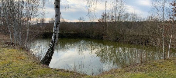 7 rooms House in Helmstedt, Germany No. 207876 19