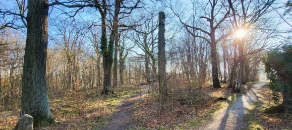 Apartamento de 3 habitaciónes en Penzing, Austria No. 49562 10