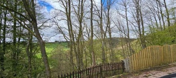 5 غرف نوم فيلا في Vulkaneifel, Germany رقم 159841 30