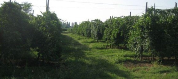 Земельный участок 43000м² в Сольера, Италия № 229387 5