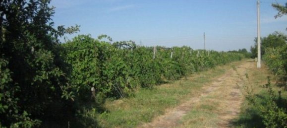 Земельный участок 43000м² в Сольера, Италия № 229387 7