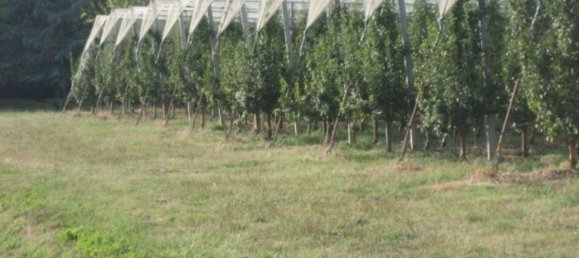 Земельный участок 43000м² в Сольера, Италия № 229387 6