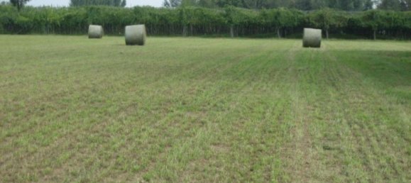 Земельный участок 43000м² в Сольера, Италия № 229387 3