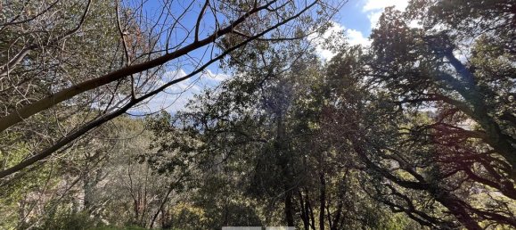 Terrain à Bastia, France 3500m² No. 92943 3