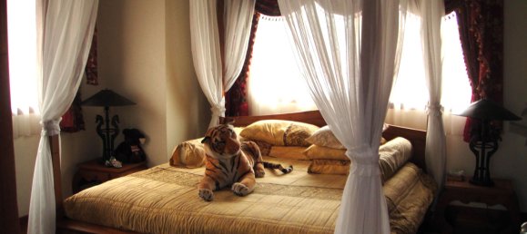 2 bedrooms Cafe / restaurant in Pattaya, Thailand No. 1326 13