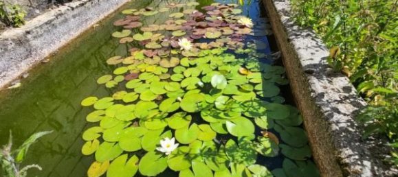 3 غرف نوم منزل في Bonnieres, France رقم 153385 3