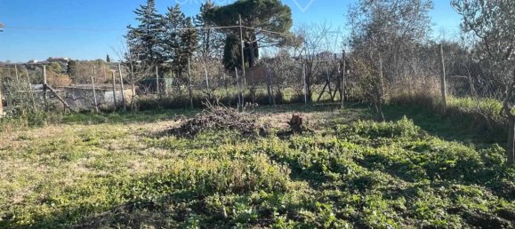 4 chambres Maison à Castiglione del Lago, Italy No. 123571 26