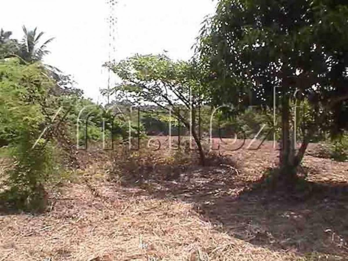 Terreno em Veracruz, Mexico N.º 207128