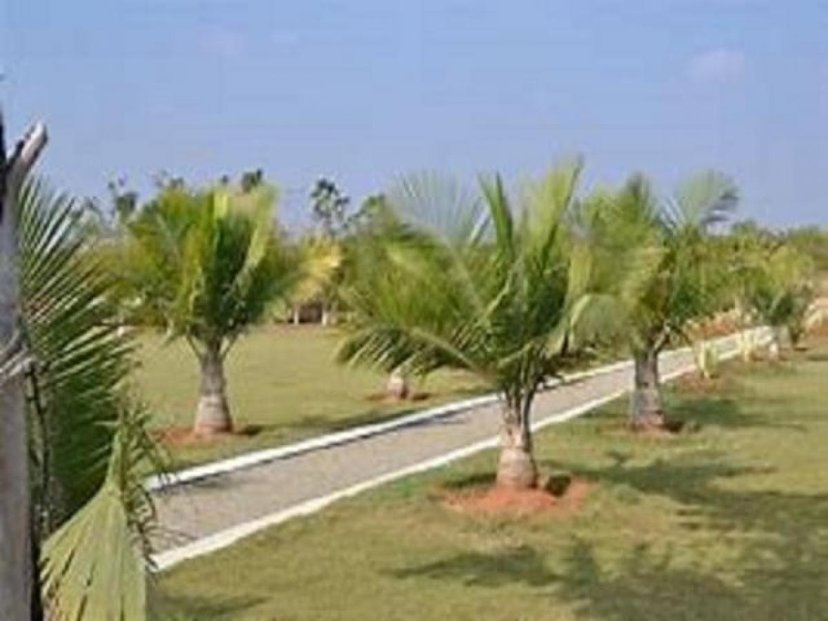 Terrain à Hyderabad, India No. 30258