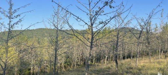 30 Schlafzimmer Haus in Città di Castello, Italy, Nr. 55777 36