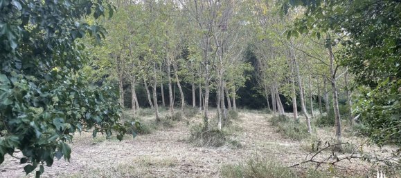 30 Schlafzimmer Haus in Città di Castello, Italy, Nr. 55777 30