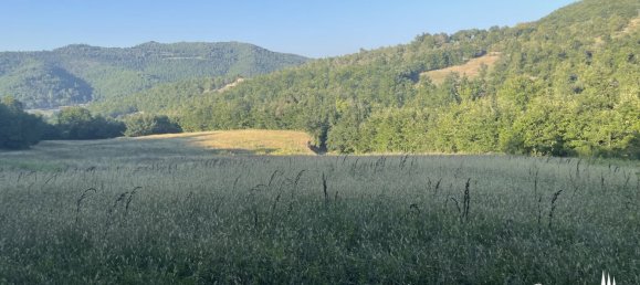 30 Schlafzimmer Haus in Città di Castello, Italy, Nr. 55777 24