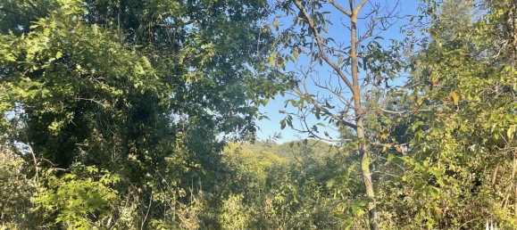 30 Schlafzimmer Haus in Città di Castello, Italy, Nr. 55777 34