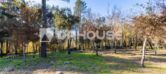 4819m² Land in Turiz, Portugal No. 61029 4