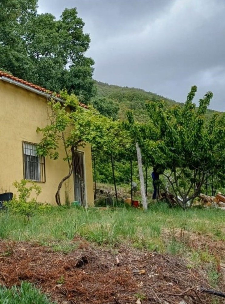 1 غرف نوم منزل في Jarandilla de la Vera, Spain رقم 250467