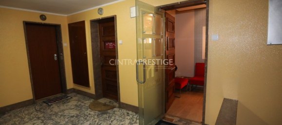 41m² Office in Sintra, Portugal No. 287798 5