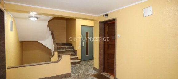 41m² Office in Sintra, Portugal No. 287798 4