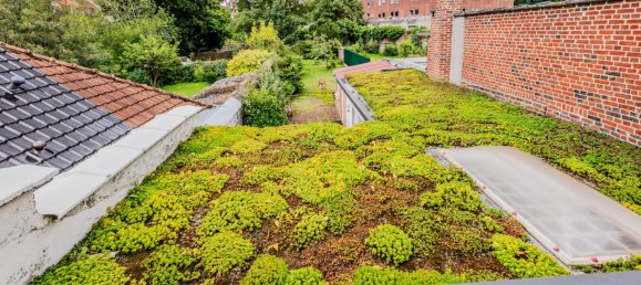 5 bedrooms House in Roubaix, France No. 256155 12